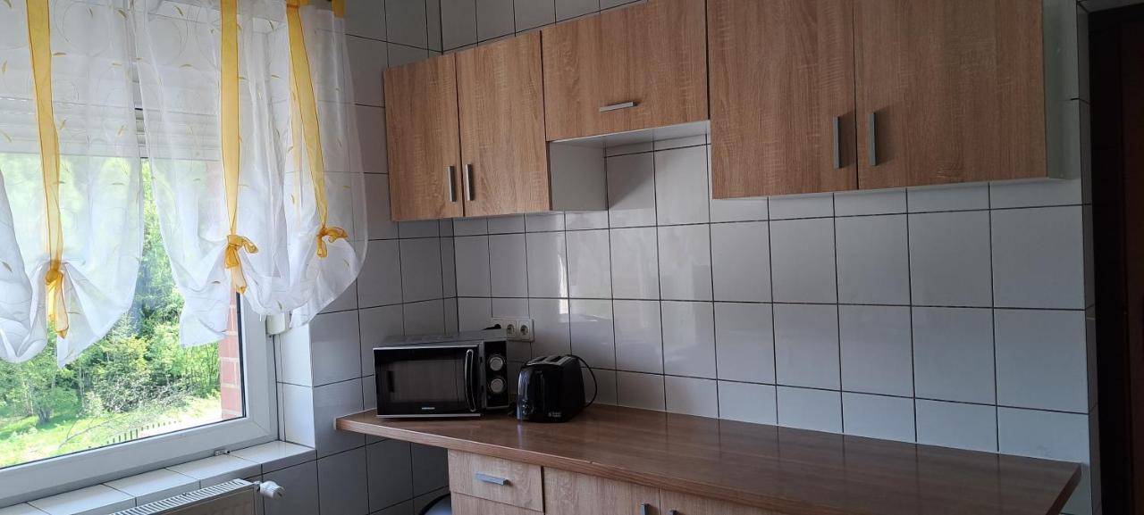 Gorskie Zacisze Bed & Breakfast Borowice Ngoại thất bức ảnh
