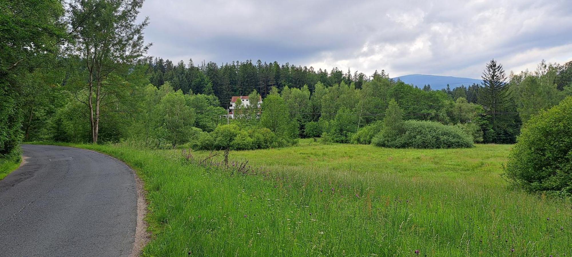 Gorskie Zacisze Bed & Breakfast Borowice Ngoại thất bức ảnh