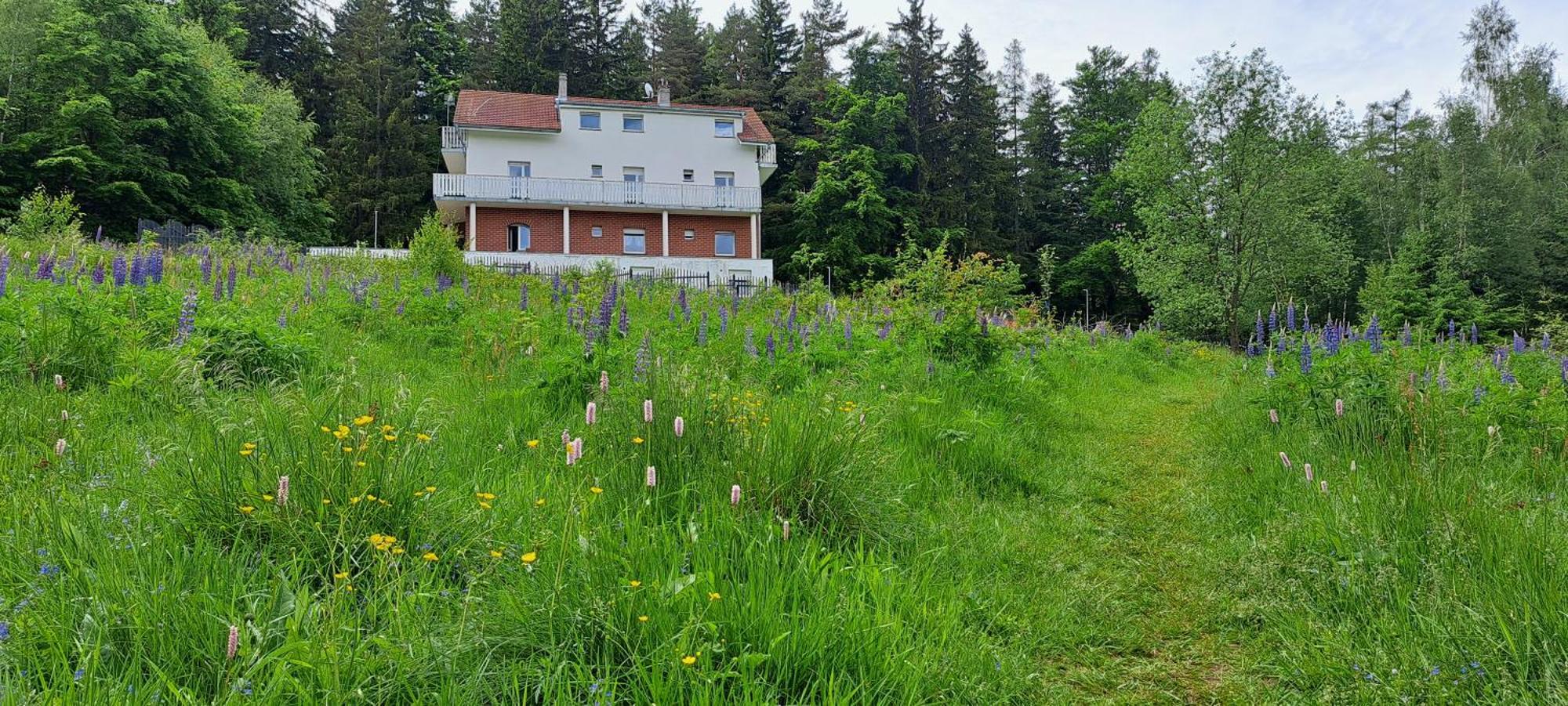 Gorskie Zacisze Bed & Breakfast Borowice Ngoại thất bức ảnh