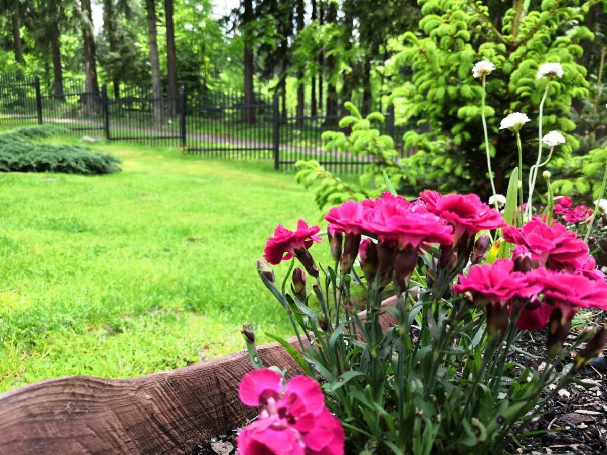 Gorskie Zacisze Bed & Breakfast Borowice Ngoại thất bức ảnh