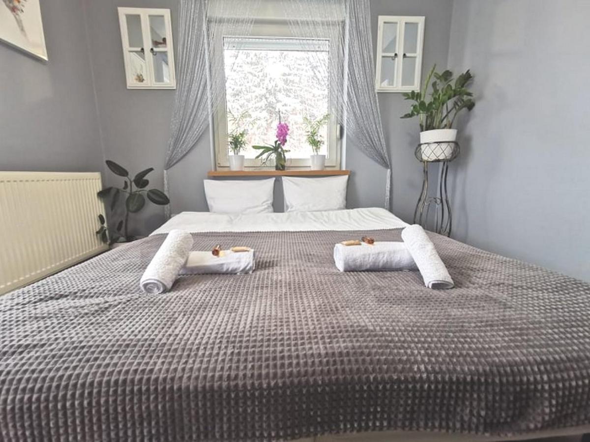 Gorskie Zacisze Bed & Breakfast Borowice Ngoại thất bức ảnh